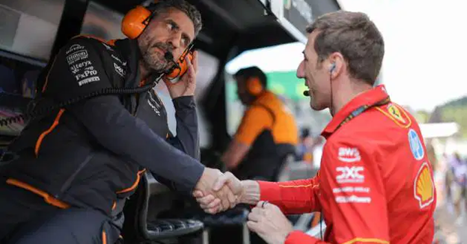 Andrea Stella, McLaren team boss 2024